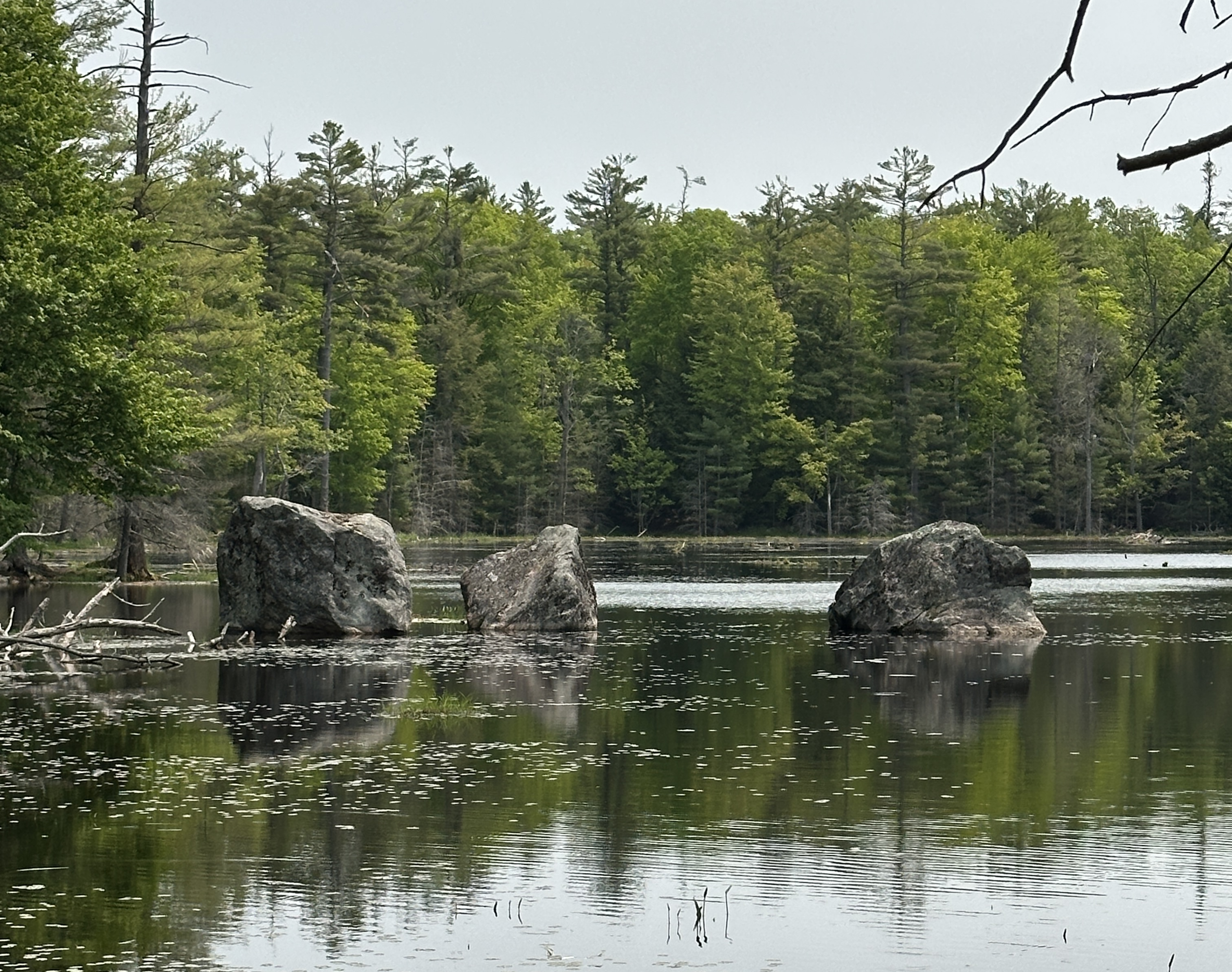 view of a lake in Ontario